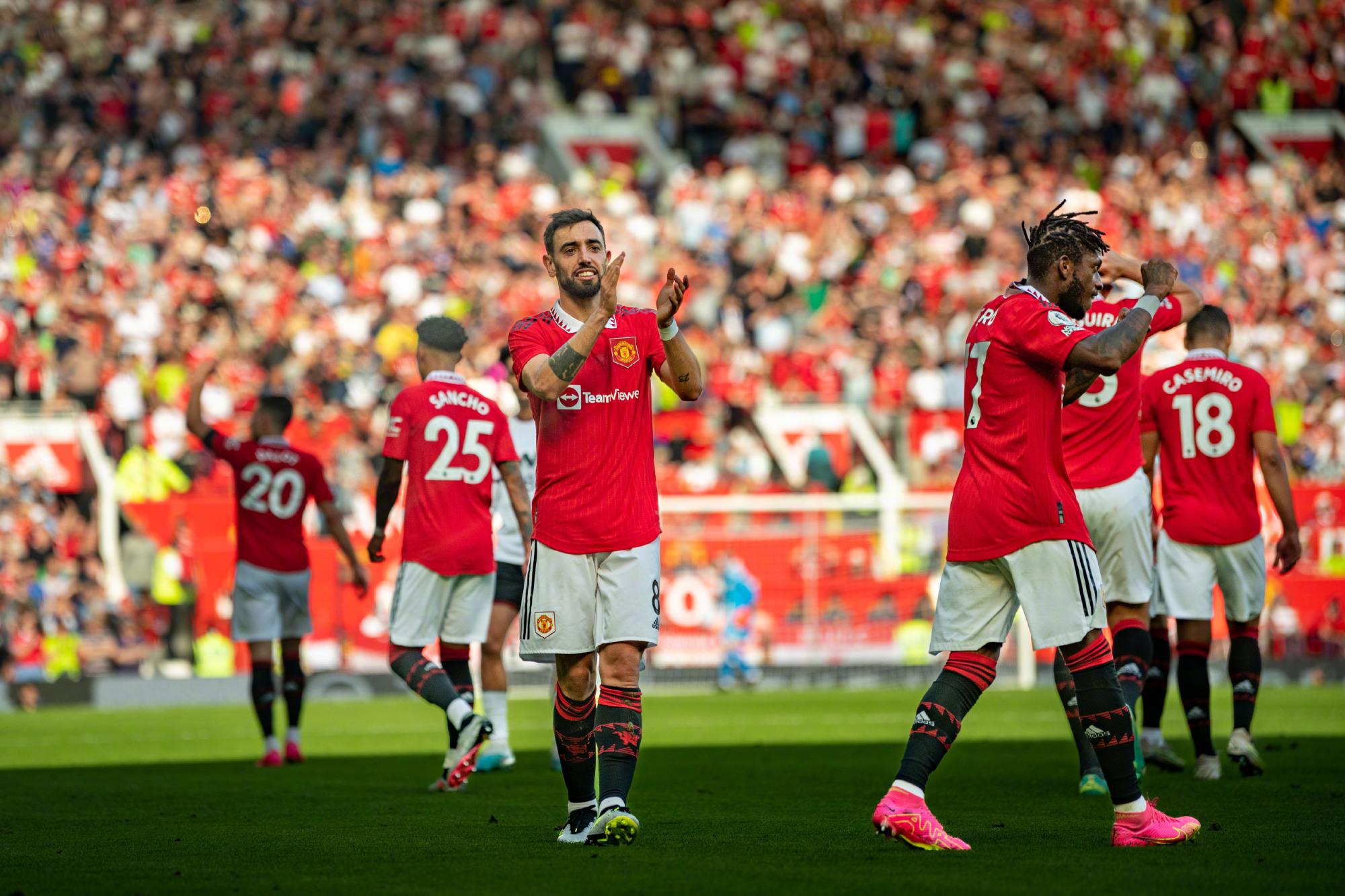 系统的训练 系统的训练